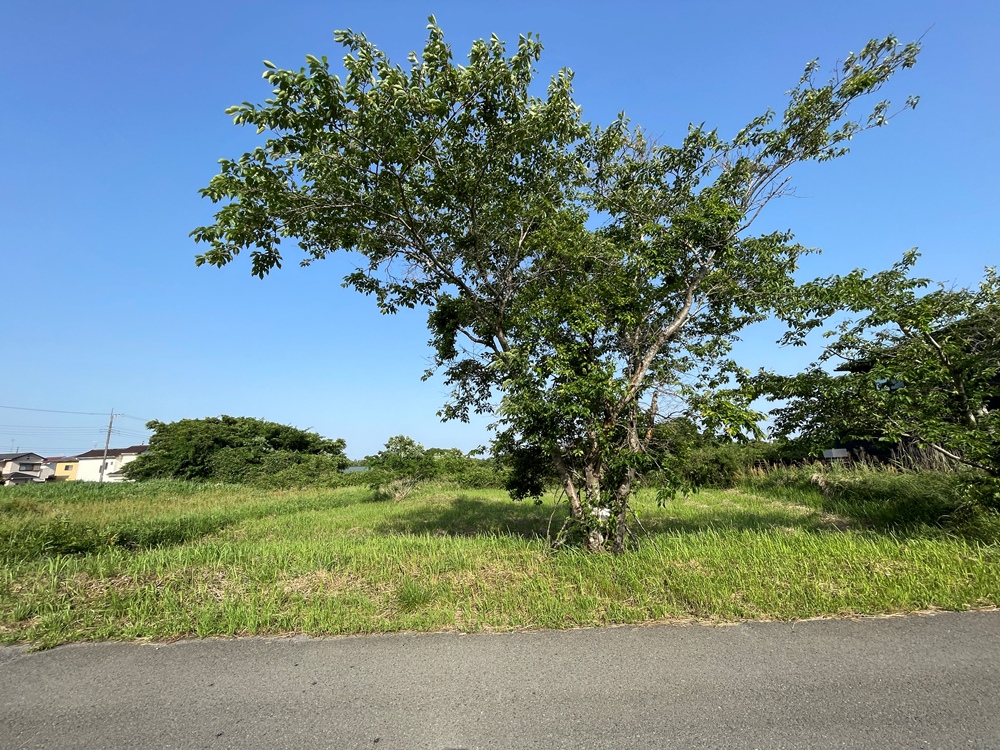 ～新着物件　横芝光町北清水　土地　約170坪　300万円～