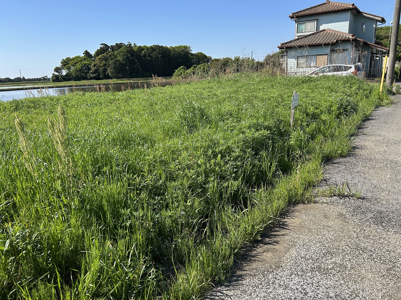 ～新着物件　横芝光町宮川　土地　約42.9坪　130万円～