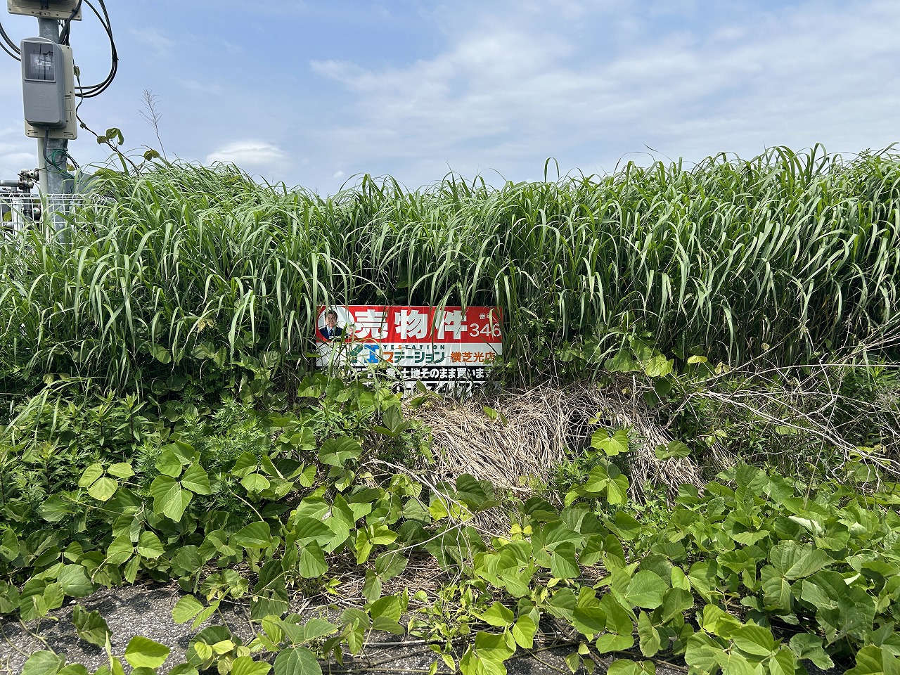 ～新着物件　横芝光町木戸　土地　約41.44坪　59万円～